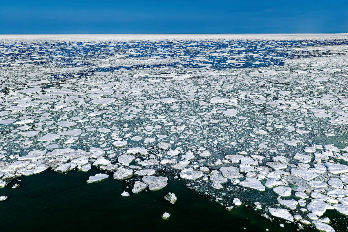 羽仁 正樹 tweet media