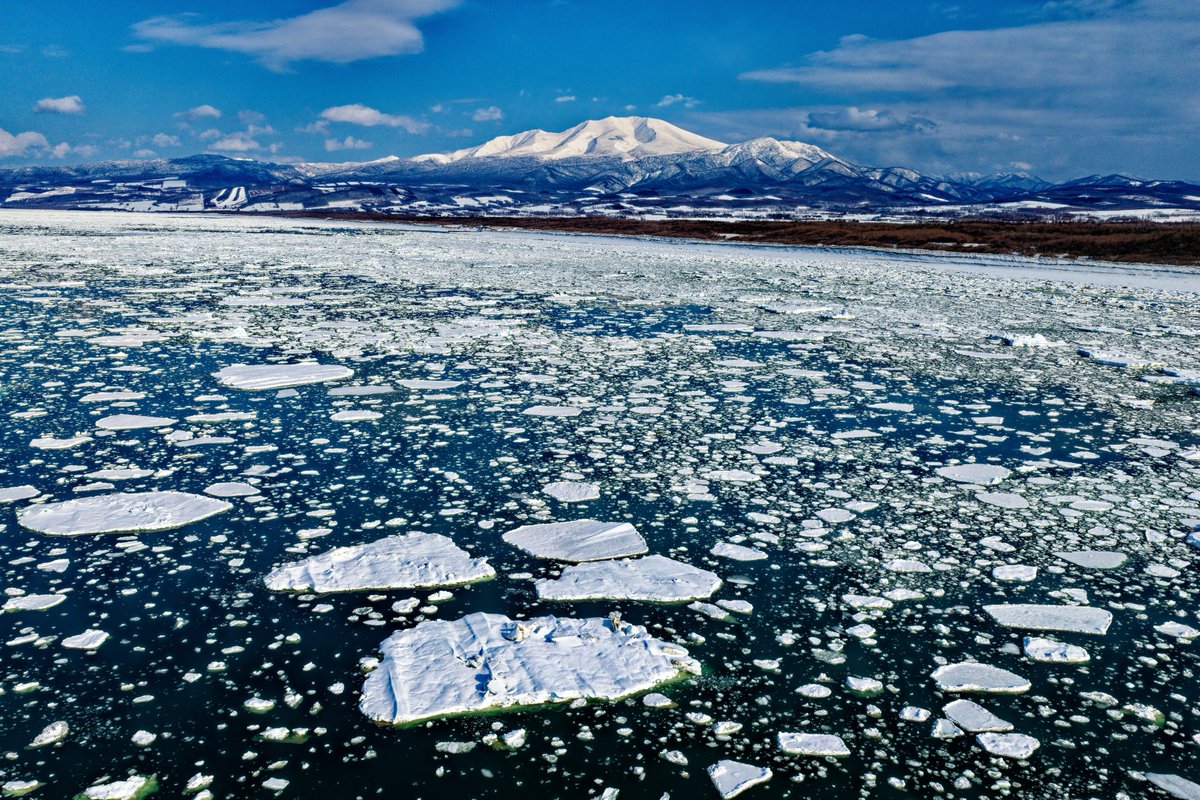 羽仁 正樹 tweet media