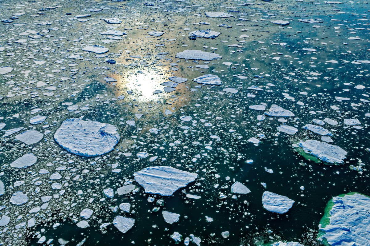 羽仁 正樹 tweet media