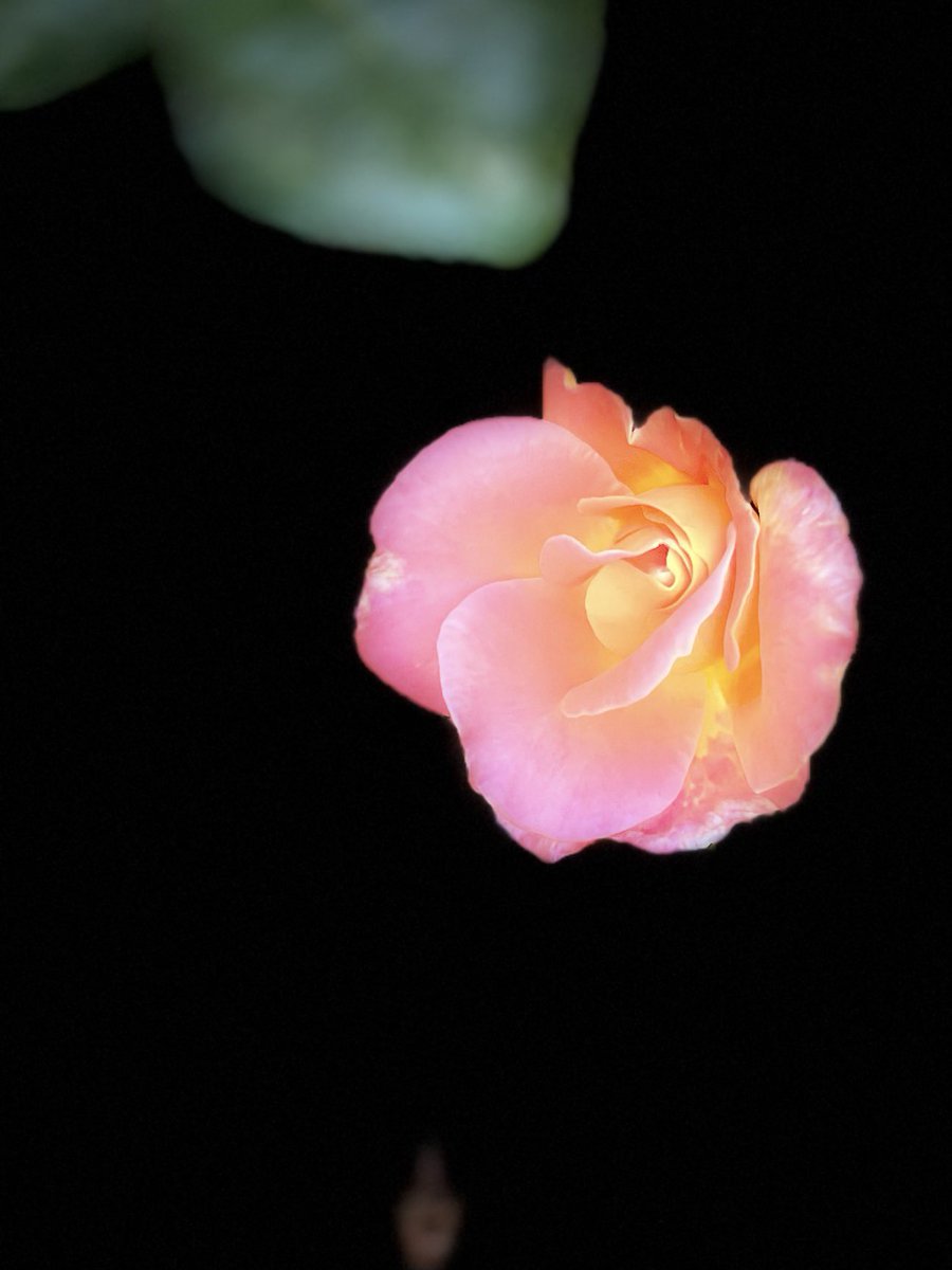 Angela Buettner tweet media