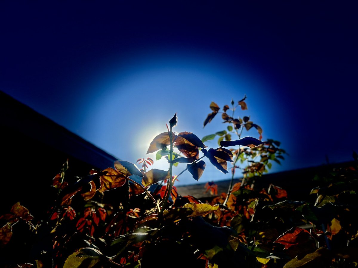 Angela Buettner tweet media