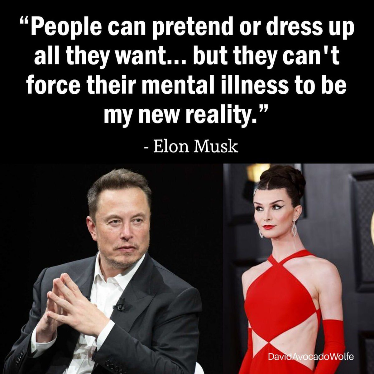 David Wolfe tweet media