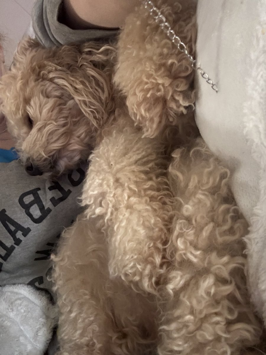 Christy Walker tweet media