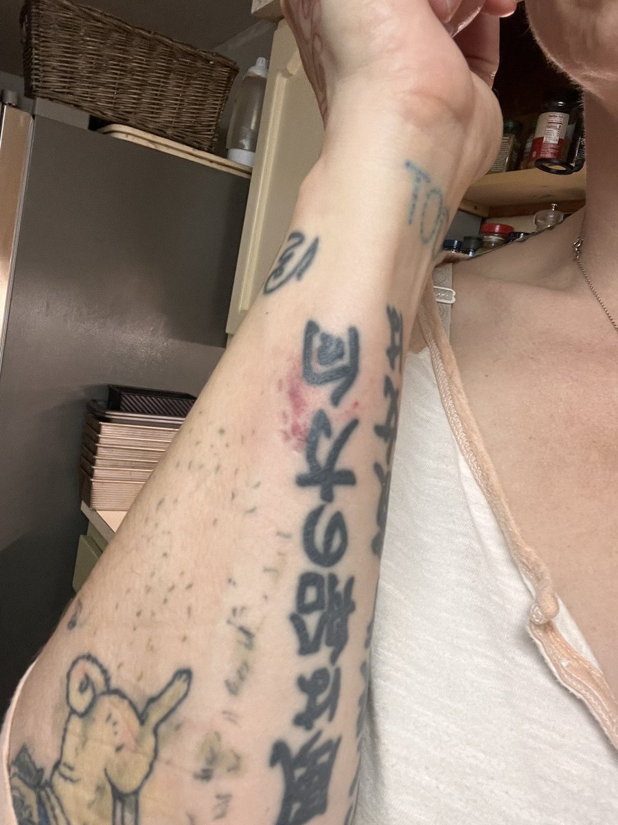 Texas Breakfast tweet media