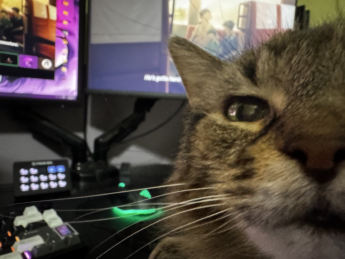 Desiree-134 ⚓️🧪【VFLEET】 tweet media