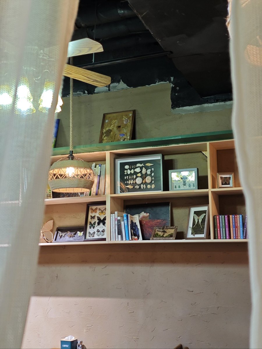 kenzie brown tweet media