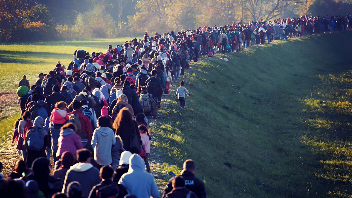 Global Statistics tweet media