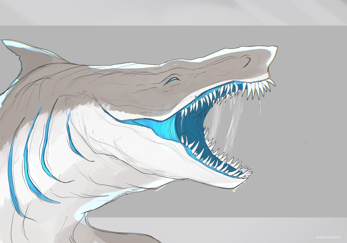 WEBBERTHEDERG tweet media