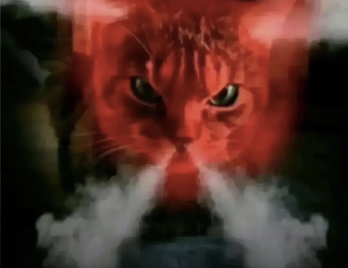 badman⚠️shtwt tweet media