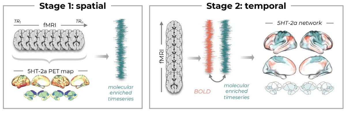 Imaging Neuroscience tweet media