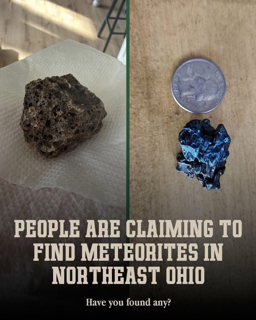 I'm From Cleveland tweet media