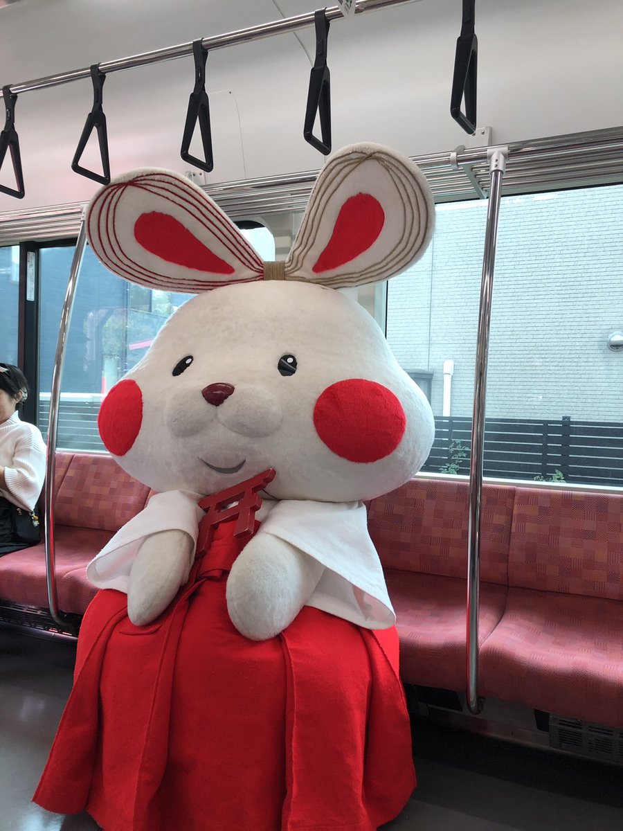 みょんこ様 みゅ・・！こぎみょんが、かわいいかんむりを作ってくれたみゅん