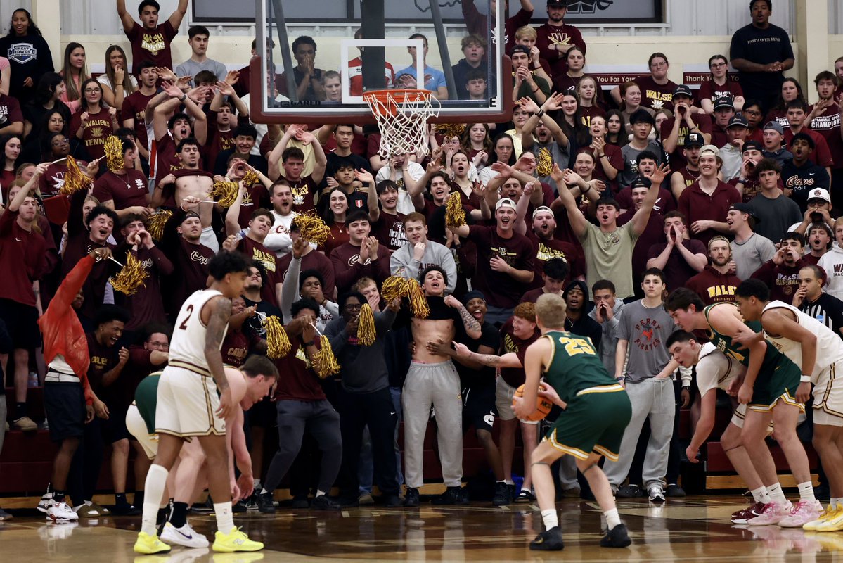 Jeremy Shardo tweet media