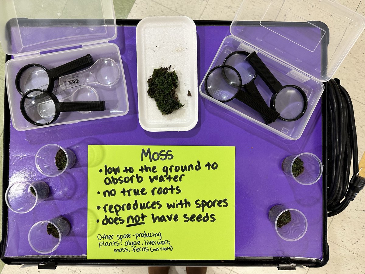 Caitlin Sabers tweet media