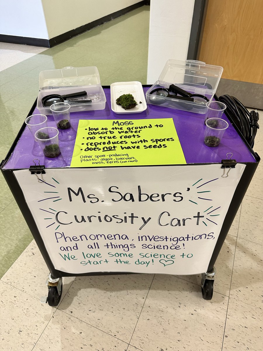 Caitlin Sabers tweet media