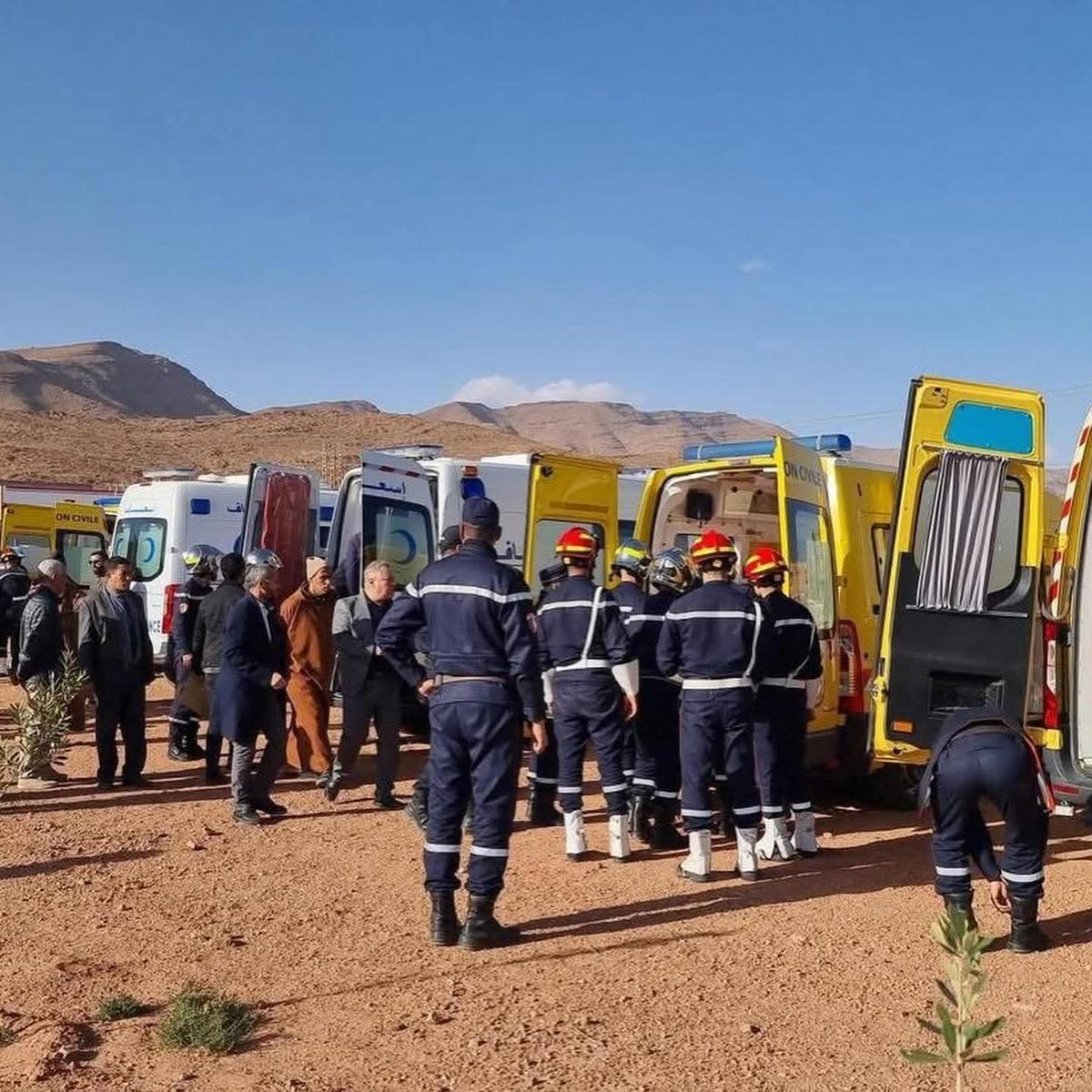 Wass. D. ⵡⴰⵙⵙⵉⵍⴰ🏴‍☠️ tweet media