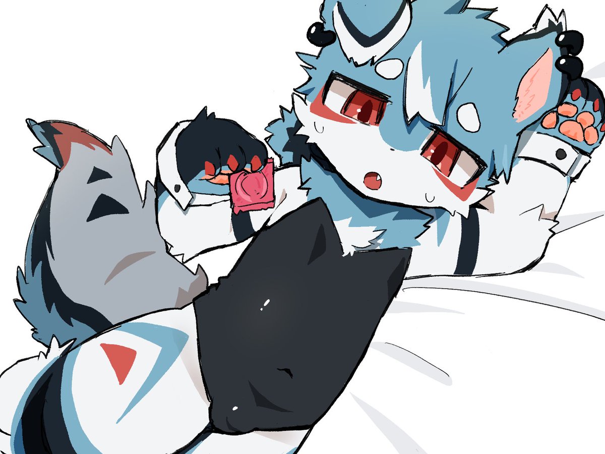 작은개 tweet media