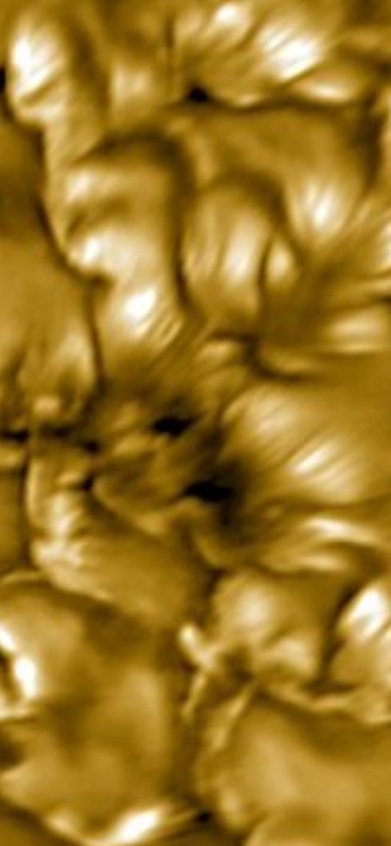 tonymontana tweet media