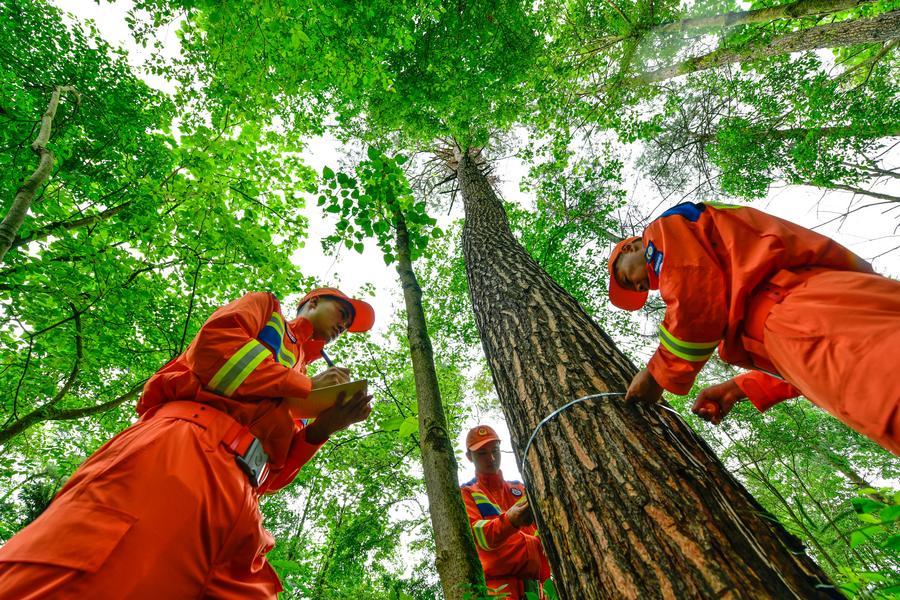 China Science tweet media