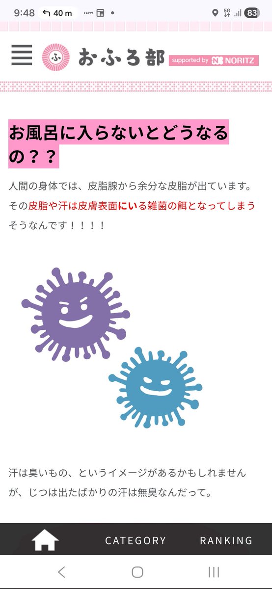 めんどうな犬 tweet media
