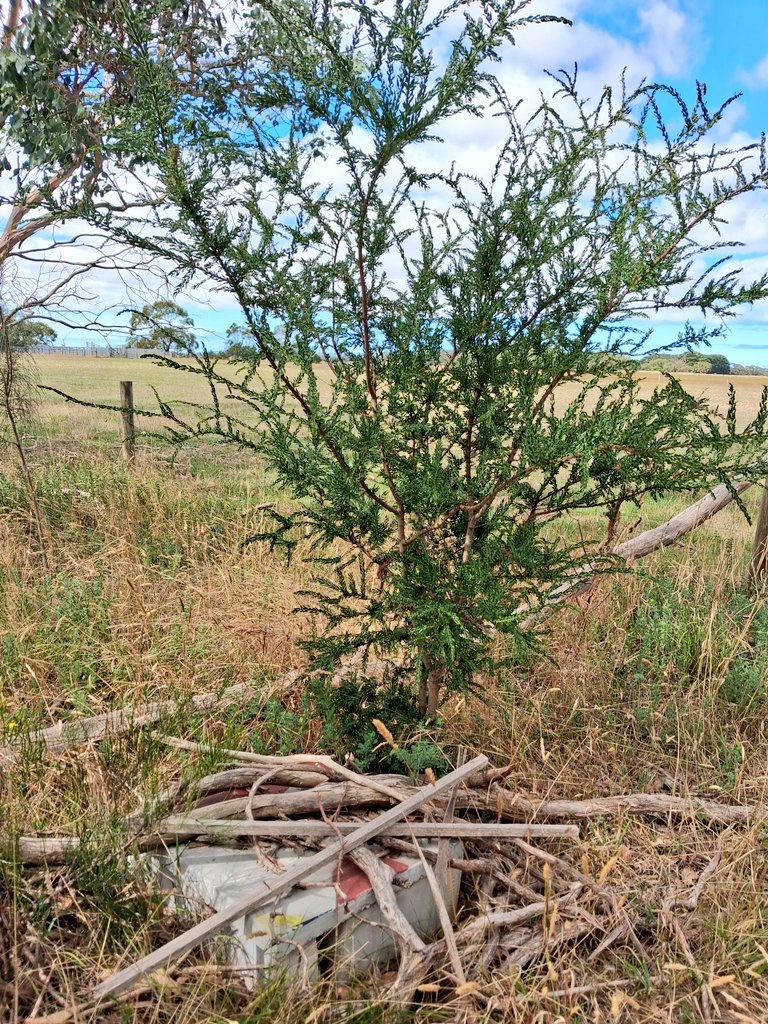 Agvocate_Au tweet media