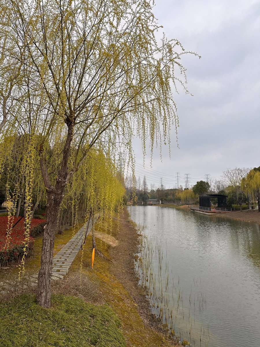 Gavin Yang tweet media