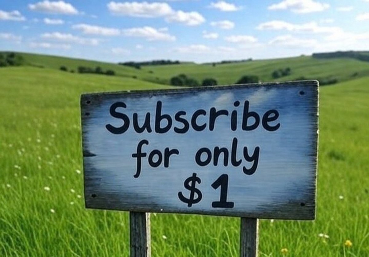 Nicholas Irvine tweet media