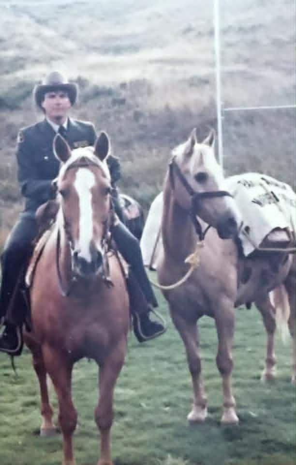 Wiserfool tweet media