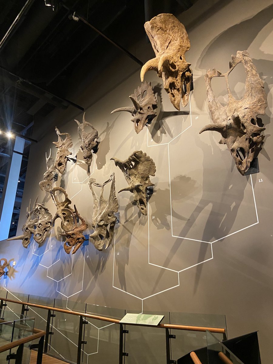 clay ꩜Ï tweet media