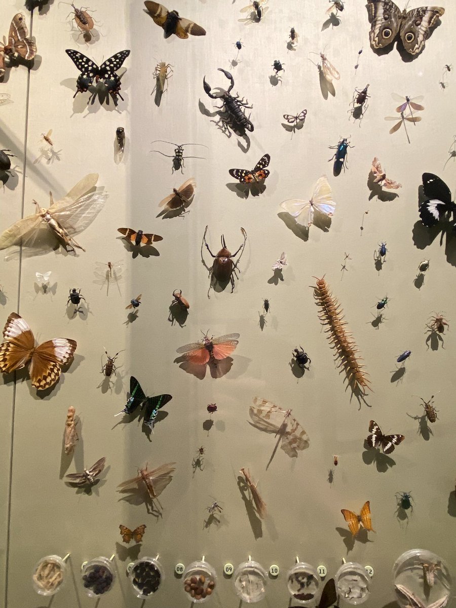 clay ꩜Ï tweet media