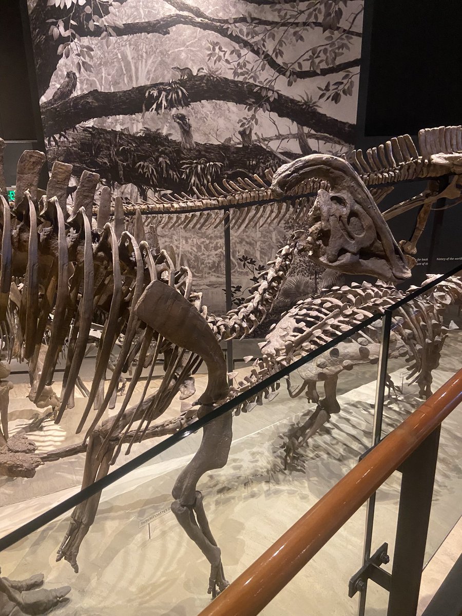 clay ꩜Ï tweet media