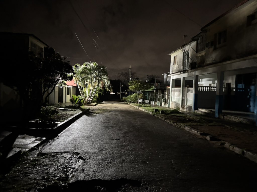 Zoe Alexandra tweet media