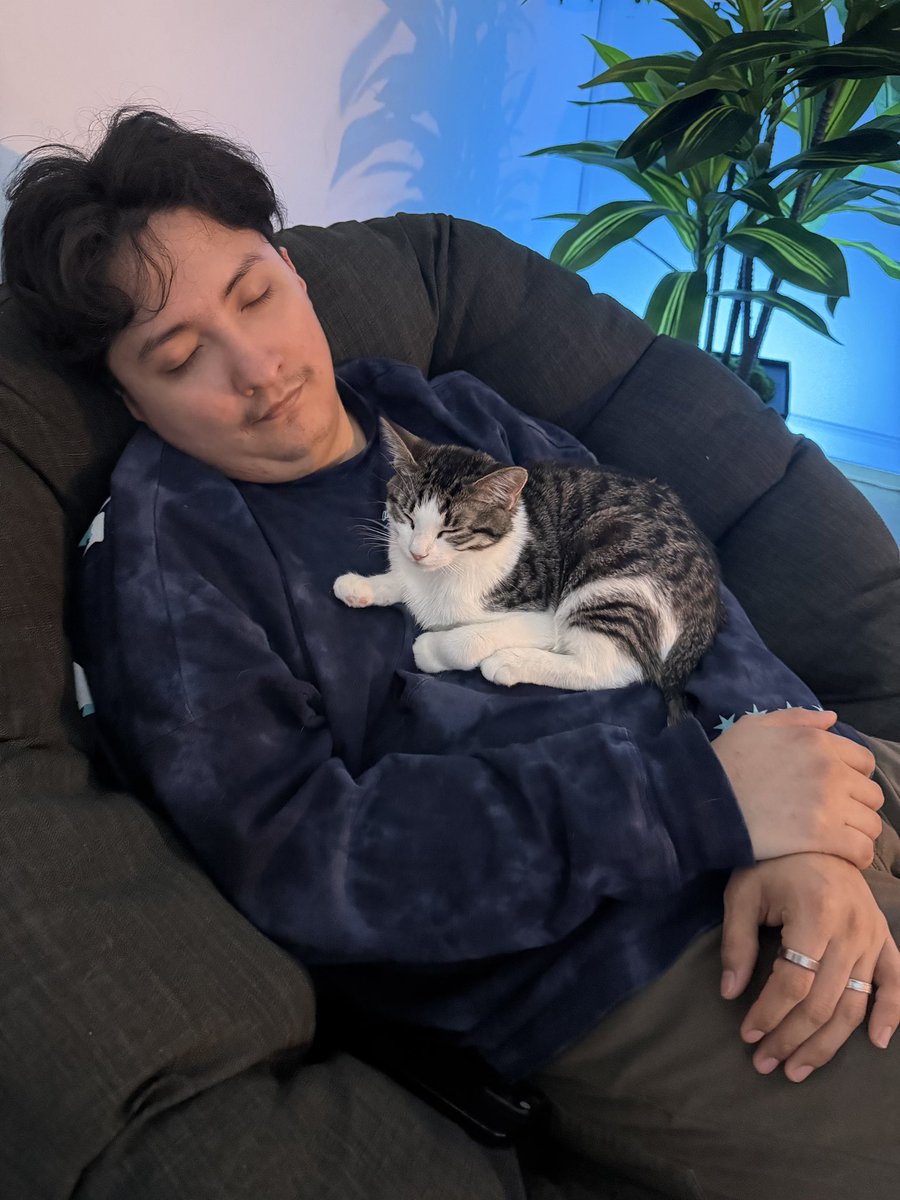 NY Mando ➡️ D.I.Y tweet media