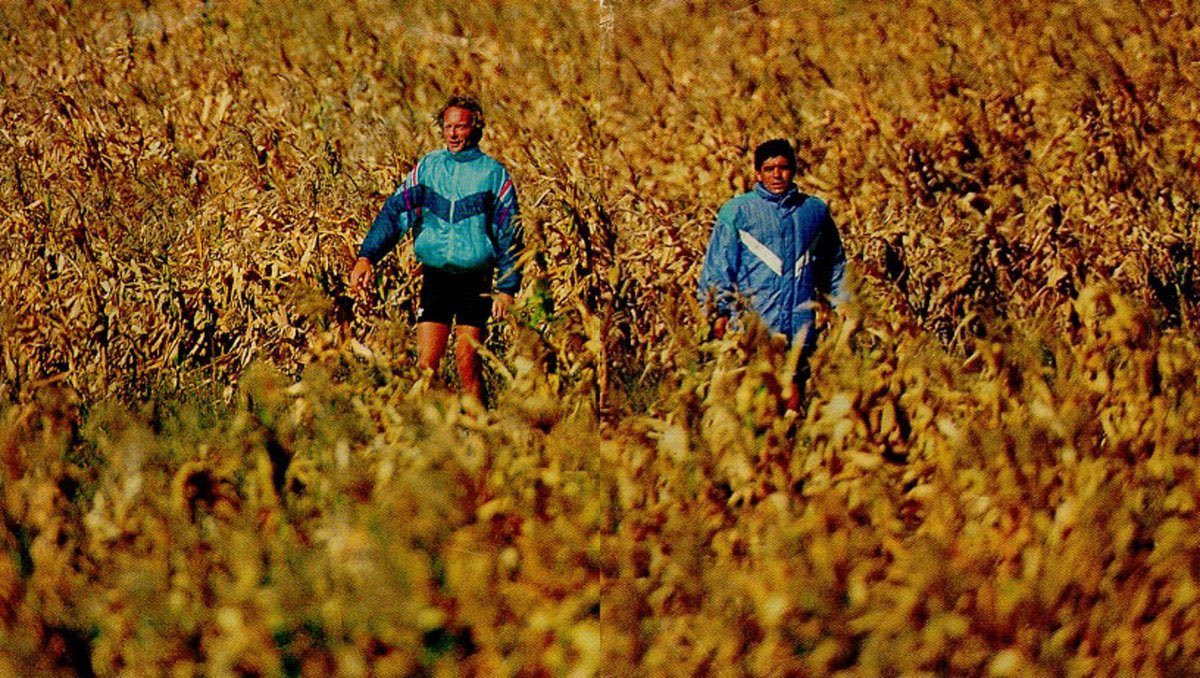 Toca agradecer haber vivido para verte.