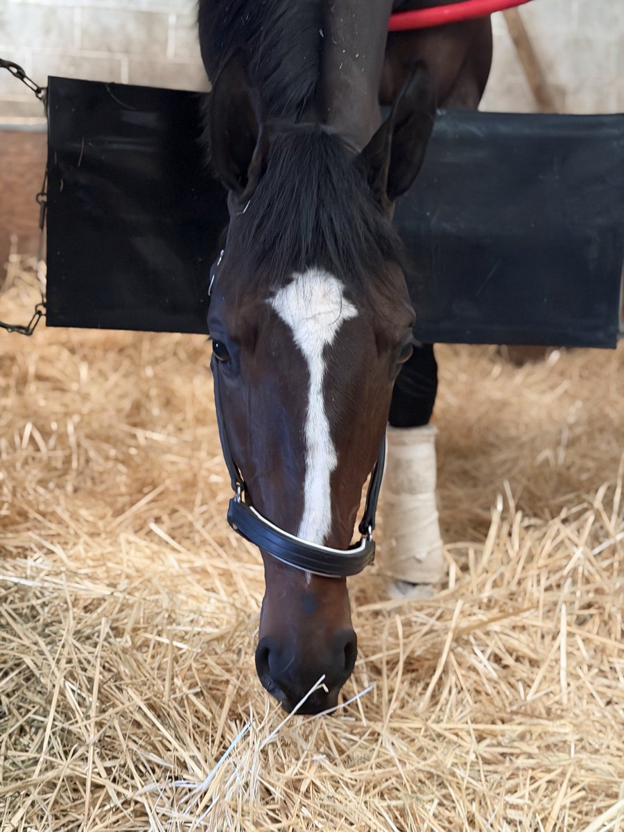 Cherie DeVaux tweet media