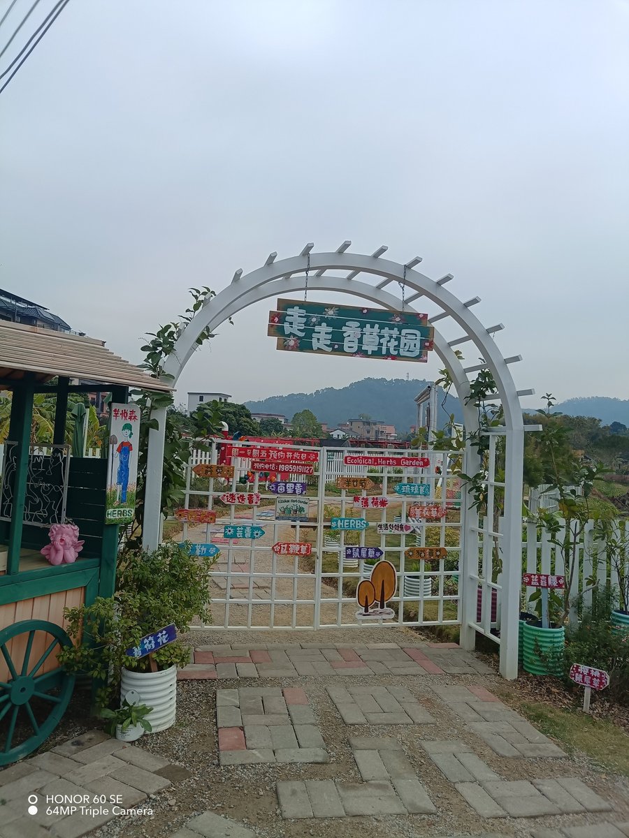 عسل وعيون غزل tweet media