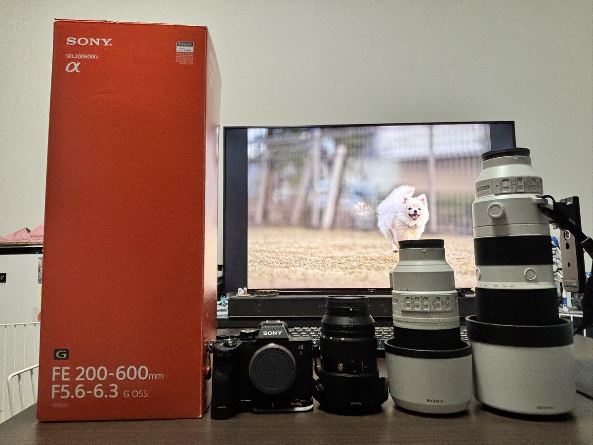 saoricamera's tweet photo. 実は先月に新しいレンズ購入しました‼️
超望遠レンズ200600F5.6-6.3G

いい写真撮るように頑張ります(ง •̀_•́)ง

 #カメラ垢  #カメラ好きな人と繋がりたい  #カメラ女子 https://t.co/gWt6xM5KD4