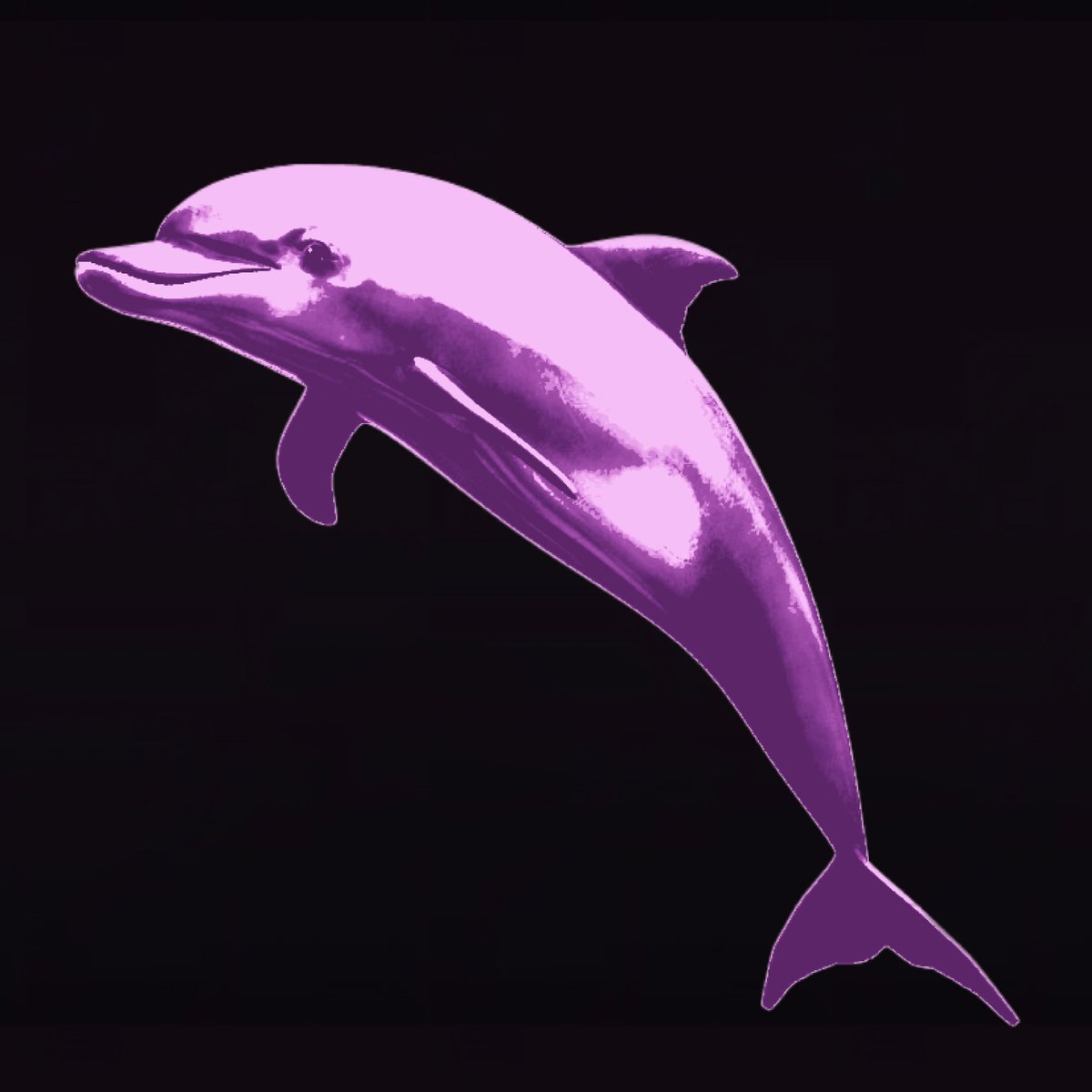 Dolphin's Stabilizing tweet media