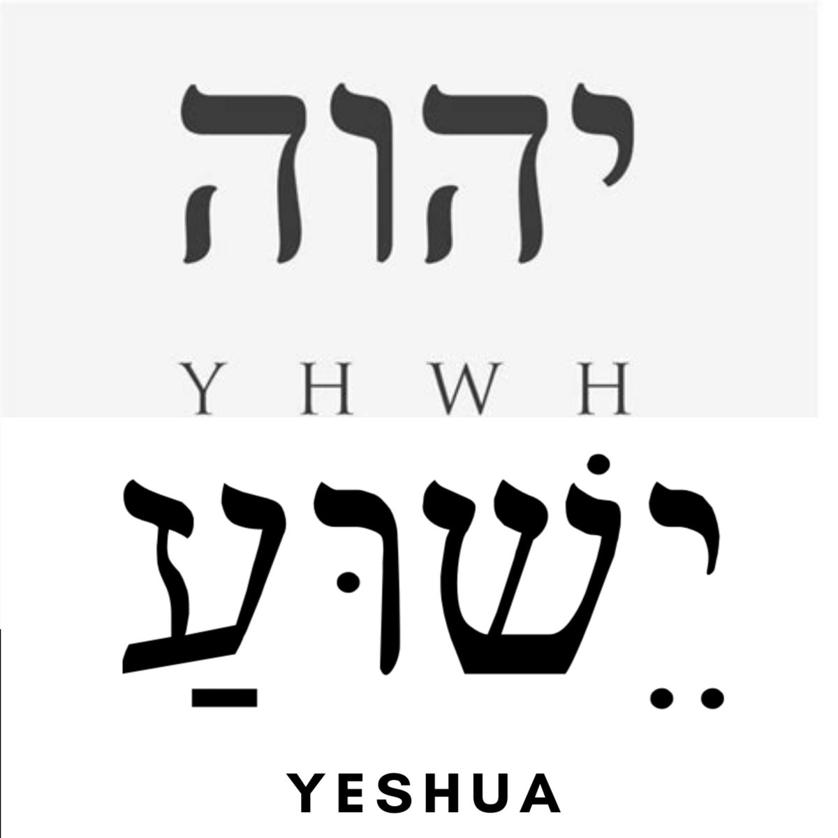 Will_Be_Faithful tweet media