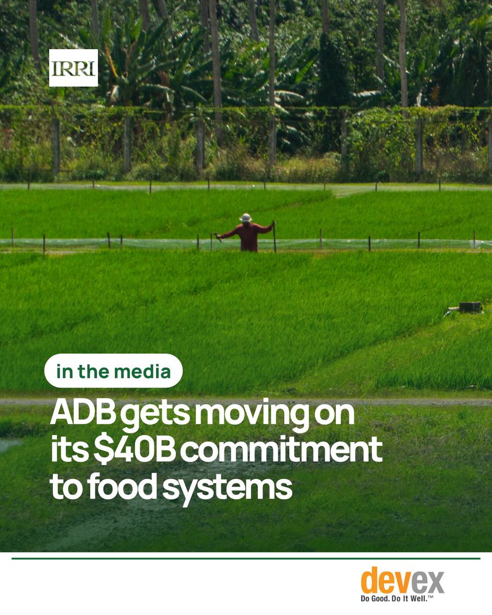 IRRI 🌾 tweet media
