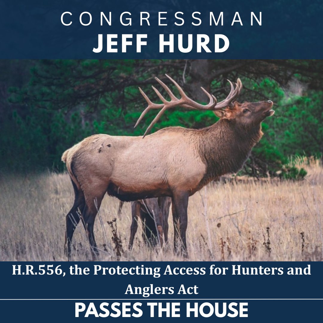 Rep. Jeff Hurd tweet media