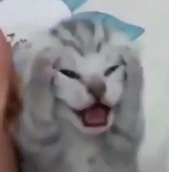 AiriZ || COMMS OPEN tweet media