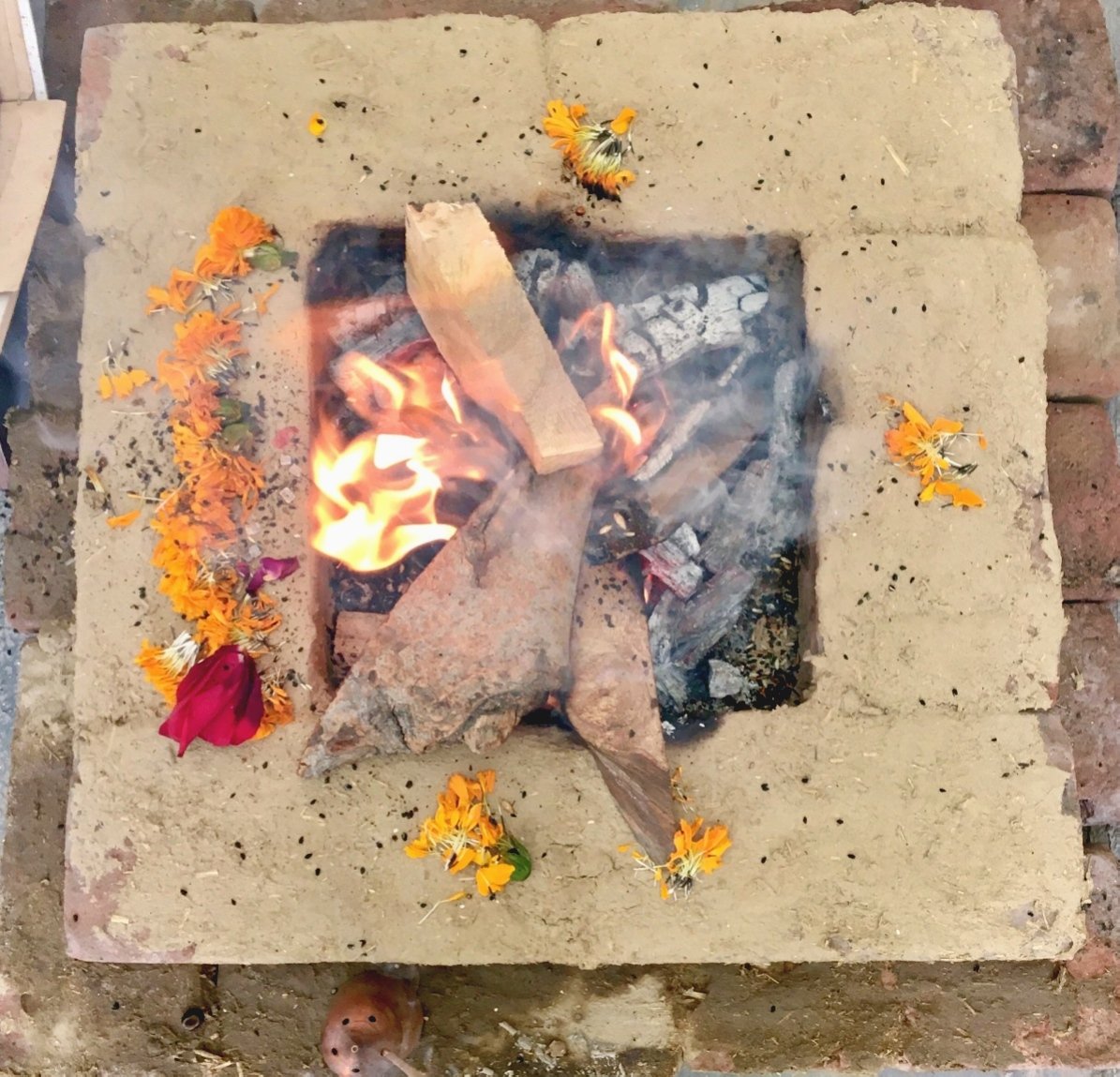 Protagonist tweet media