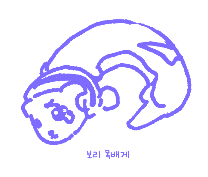 행복충(happybug) tweet media