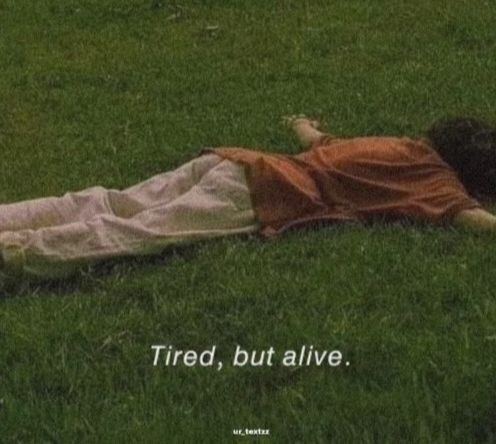 Alexander Scott Halbur tweet media