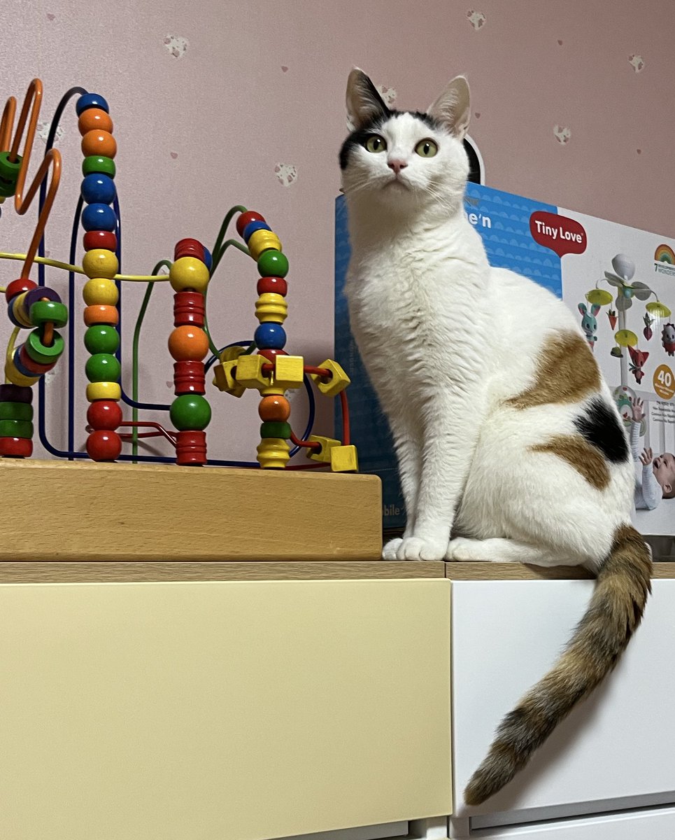 망고금동 tweet media