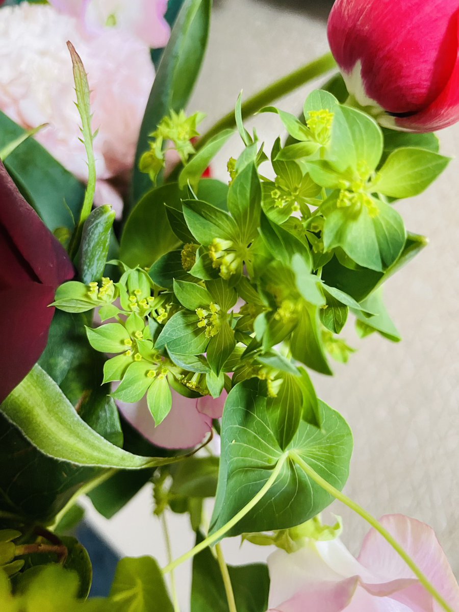 スイッチオン！DAYTIME tweet media