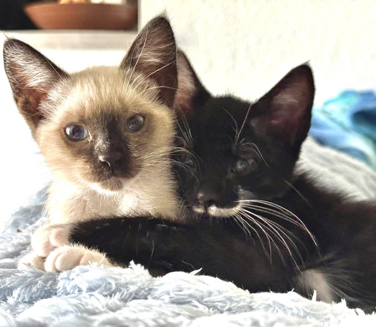 The Redheaded libertarian tweet media