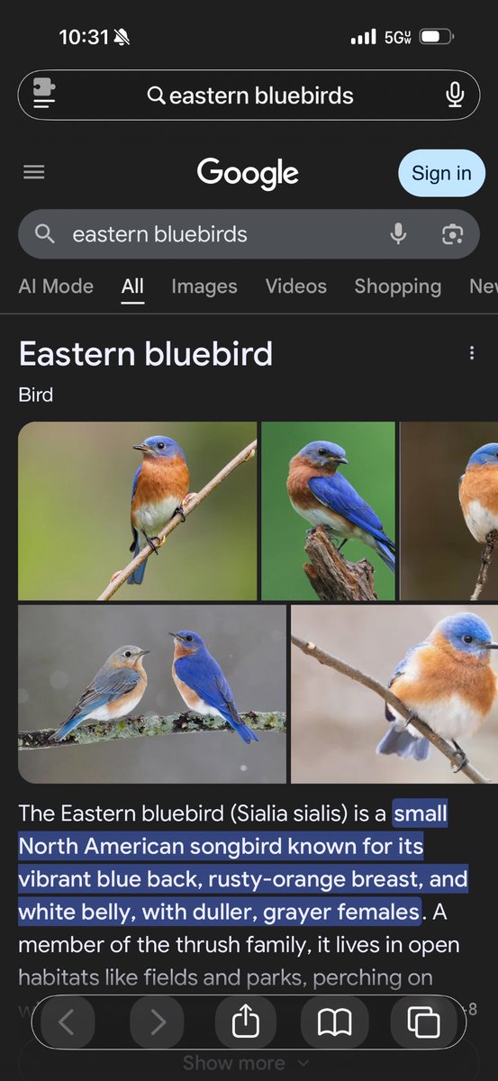 Lisabethy tweet media