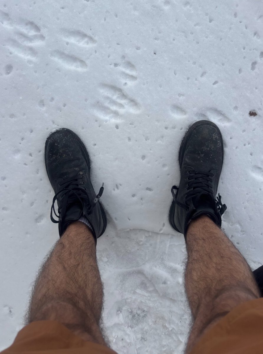 Officially spring when you’re in shorts and a winter jacket 﫡 https://t ...